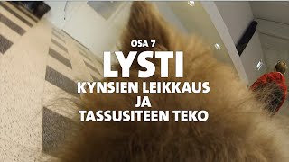 Evidensia Pentupäiväkirjat – Osa 7 Lystin kynsien leikkaus ja tassusiteen teko [upl. by Patrica712]