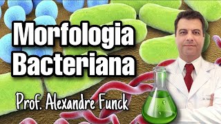 MORFOLOGIA DA CÉLULA BACTERIANA  PROF ALEXANDRE FUNCK VÍDEO ATUALIZADO [upl. by Lail]