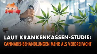 Laut KrankenkassenStudie Cannabis Behandlungen mehr als verdreifacht [upl. by Oinesra]