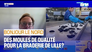 Braderie de Lille la qualité des moules seratelle au rendezvous [upl. by Lechner565]