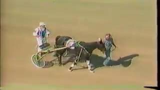 1984 Delaware County Fair HIT PARADE Jugette 1st Div Bill ODonnell World Record [upl. by Gusti]