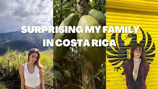 Surprising My Family in Costa Rica 2023 Vlog [upl. by Ellimak]