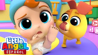 Aprendiendo Las Partes Del Cuerpo 🦶🏽👃🏼👁️  Canción Infantil  Little Angel en Español [upl. by Nek]