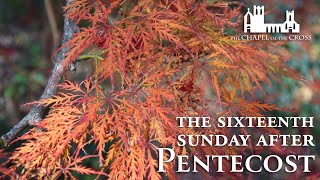 The Fifteenth Sunday after Pentecost [upl. by Maloy]