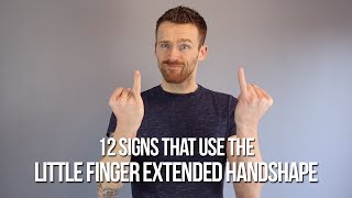 12 Signs in BSL that use the Little Finger Extended Handshape [upl. by Festatus419]