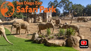 Safari Park Elephant Valley Update February 2024 [upl. by Christiansen]