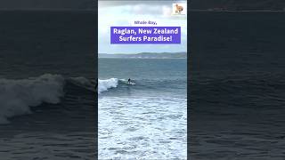 Surfers Paradise Whale Bay Raglan Beach raglan surfing [upl. by Audwen338]