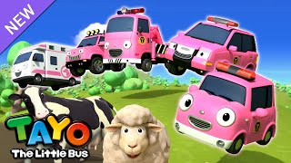 Pink Animal Rescue Team  Tayo Rescue Team Song  RESCUE TAYO  Song for Kids  Tayo the Little Bus [upl. by Kannry105]