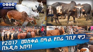 የመስቀል ገበያ የበሬ ዋጋ 2017 Meskel Holiday ox price in addis ababa ethiopia [upl. by Mcallister]