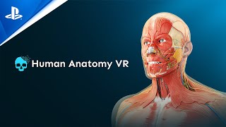 Human Anatomy VR  Launch Trailer  PS VR2 Games [upl. by Neela]