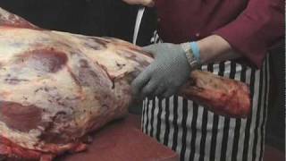 Beef Forequarter Shin Primal Removal [upl. by Nyrhtak]