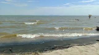 Lake Turkana is a saline lake in the Kenyan Rift Valley in northern Kenya with its far northern en [upl. by Kcirdaed]