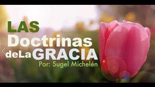 quotElección Incondicionalquot Serie Las doctrinas de la Gracia  Pastor Sugel Michelén [upl. by Luemas]