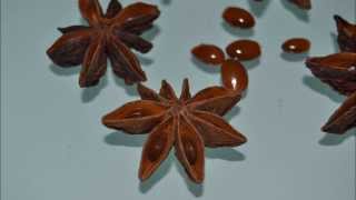 Star anise poisoning side effects [upl. by Ule]