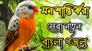 মন শান্তি করা সেরা নতুন গজল। Bangla Gojol  New Bangla Gazal 2024 GhazalGojol Bangla Gazal Gazal [upl. by Anelaf348]