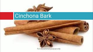 Cinchona Bark Macroscopy and Microscopy [upl. by Mandy]