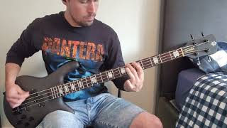 Pantera  Im Broken Bass Cover [upl. by Airdnua]