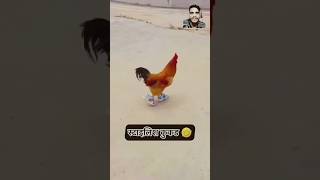 😂 confusion  comedy funny shorts trendingshorts comedyvideos [upl. by Macswan]