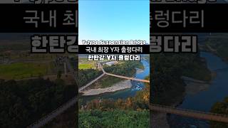 새롭게 개장한 국내 최장 Y자 출렁다리 한탄강 Y자 출렁다리 11월 국내여행지 추천 10월 국내여행지 추천 포천 여행 출렁다리 추천 [upl. by Liam]