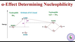 αEffect Determining Nucleophilicity [upl. by Aznola]