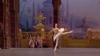 LE CORSAIRE  Odalisque Variation 2 Elvina Ibraimova  Bolshoi Ballet [upl. by Drud]