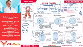 EMBRIOLOGÍA  PARTE I [upl. by Shulock6]