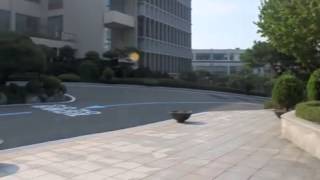 Sogang University campus tour [upl. by Antonia]