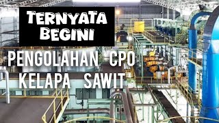 proses pengolahan minyak CPO kelapa sawit langsung ke pabrik modern❗️viralvideo kelapasawit [upl. by Efthim579]