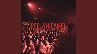 Red Vineyard [upl. by Reniar961]