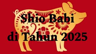 Shio Babi di tahun 2025 [upl. by Letnoj]