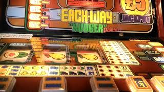 EACH WAY NUDGER DELUXE LOUD JACKPOT  FRUIT MACHINE  NEWQUAY UK ARCADES [upl. by Gokey]