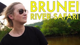 INCREDIBLE Brunei River Safari [upl. by Alden]