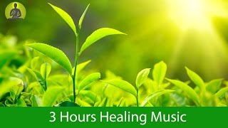 Deep Healing Music for The Body amp Soul  Relaxation Music Meditation Music [upl. by Balkin331]