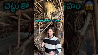 చెట్టుతో చేసిన వినాయకుడు 😱😱 youtubeshorts ganesha ytshorts [upl. by Camellia]