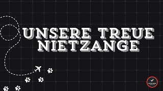 Sling TSI build ✈️  Unsere treue Nietzange [upl. by Teemus]