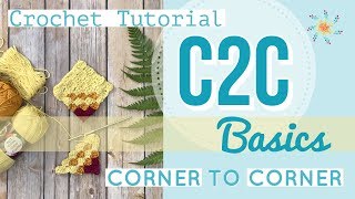 How to C2C for Beginners EASY Corner to Corner Crochet Tutorial [upl. by Fara416]