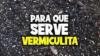 PARA QUE SERVE VERMICULITA [upl. by Mungovan]