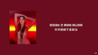 繁中字韓文 華莎 HWASA  HWASA lyrics 歌詞 [upl. by Pembrook]