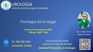 Fisiología de la vejiga [upl. by Dnomso]