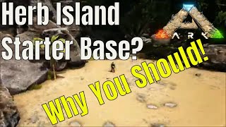 Ark Herbivore Island Why Build Your Starter Base Here [upl. by Irwinn]