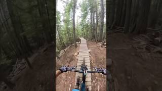 MY FAVOURITE BIKE PARK IN THE WORLD  revelstoke [upl. by Malynda]