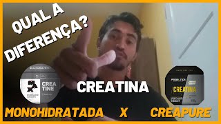 Creatina Monohidratada vs Creapure qual a diferença [upl. by Ebanreb]