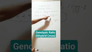 Genotypic Ratio Dihybrid Cross [upl. by Dhaf855]