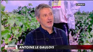 Avec Antoine de Caunes  LInfo du Vrai du 1402  CANAL [upl. by Inimak]