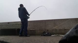 Dover pier Mackerel fishing [upl. by Higgs]