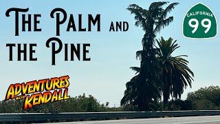 The History of the Palm and the Pine  Central California Landmark [upl. by Adnoel372]