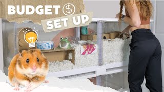 How to Set up a Hamster Cage on a BUDGET 💸 [upl. by Anihta]