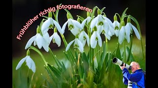 Frühblüher richtig fotografieren [upl. by Kuster]