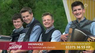 Brennholz  Ein Sommer wie damals  Immer wieder Sonntags vom 21072024  DAS ERSTE [upl. by Prince46]