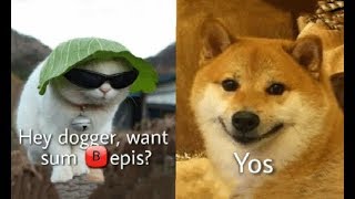 Bepis Memes [upl. by Tades846]